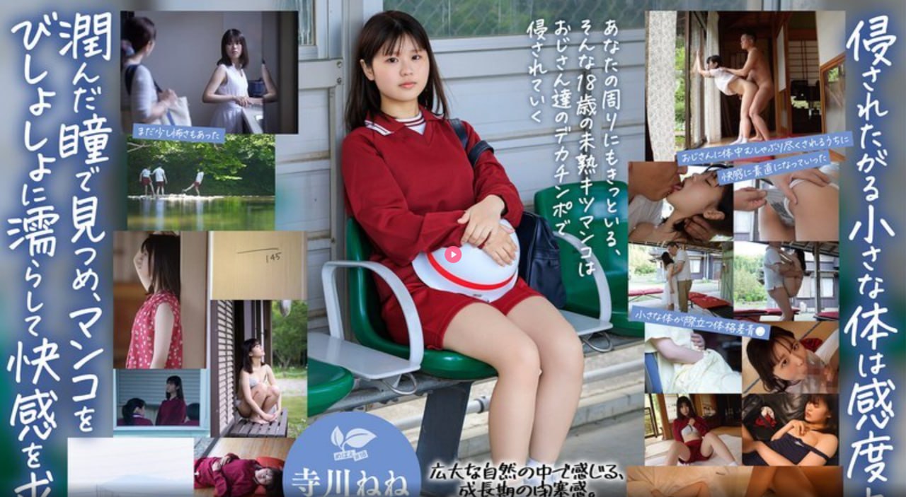 大屋的丫鬟们最大級のアダルトポータル,大屋的...